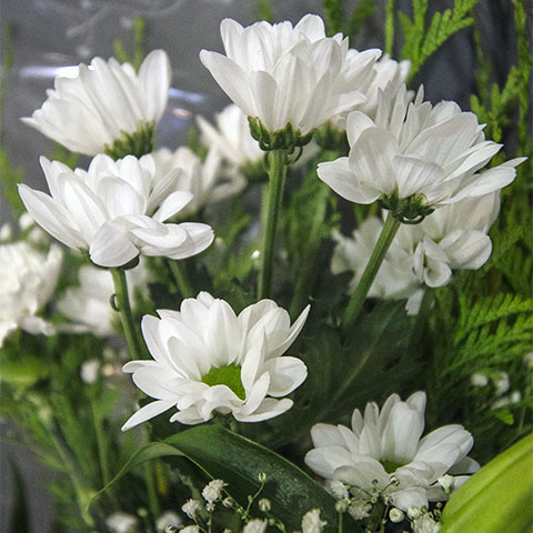 Detalle de flores blancas y margaritas en ramo funerario de tienda online de Valladolid