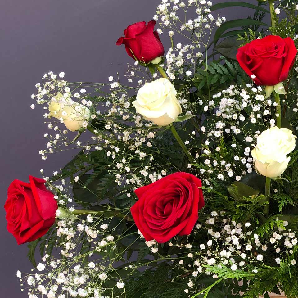 Rosas rojas y blancas con paniculata en la floristería online Yerba, de Valladolid